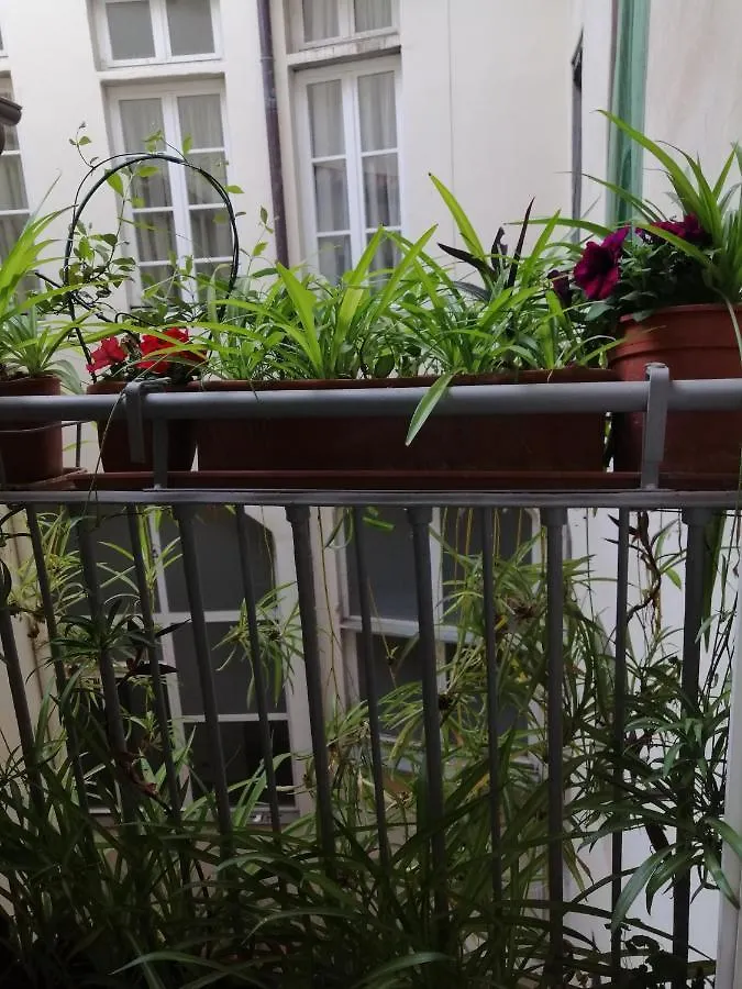 Apartman Florence Pitti Loft